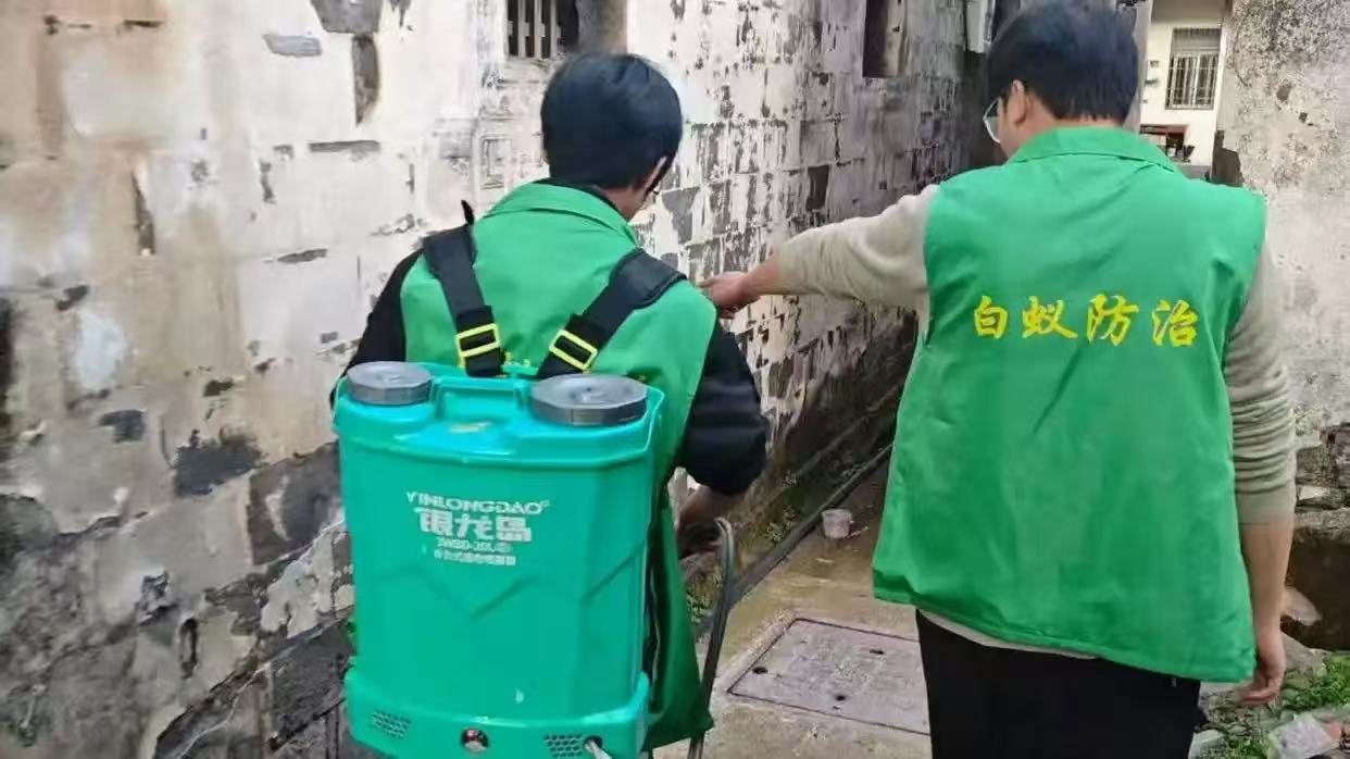 盐城盐都区白蚁防治：现代新城与生态湖区的蚁害防治全流程 - 白蚁百科封面图