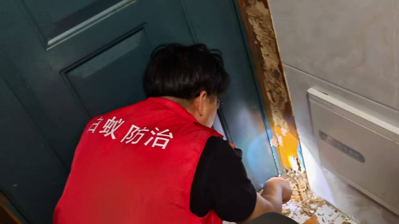 案例实录：扬州某私家园林古树名木与古建凉亭的生态防蚁案例 - 白蚁百科封面图